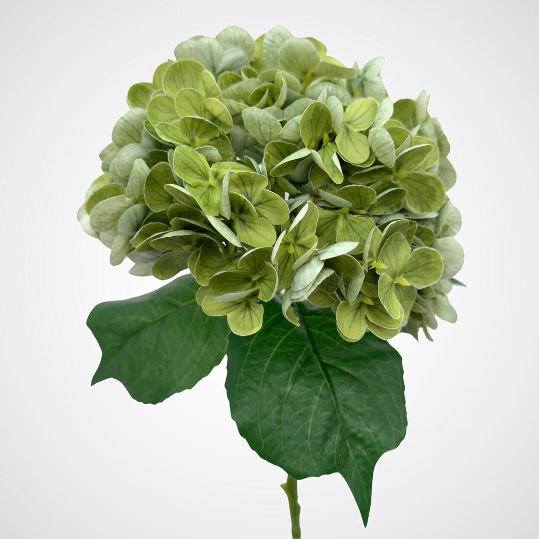 Bloom head of an artificial hydrangea in an antique green colour with realistic Real Touch petals and detailing, from My Faux Florist artificial flowers Canada.