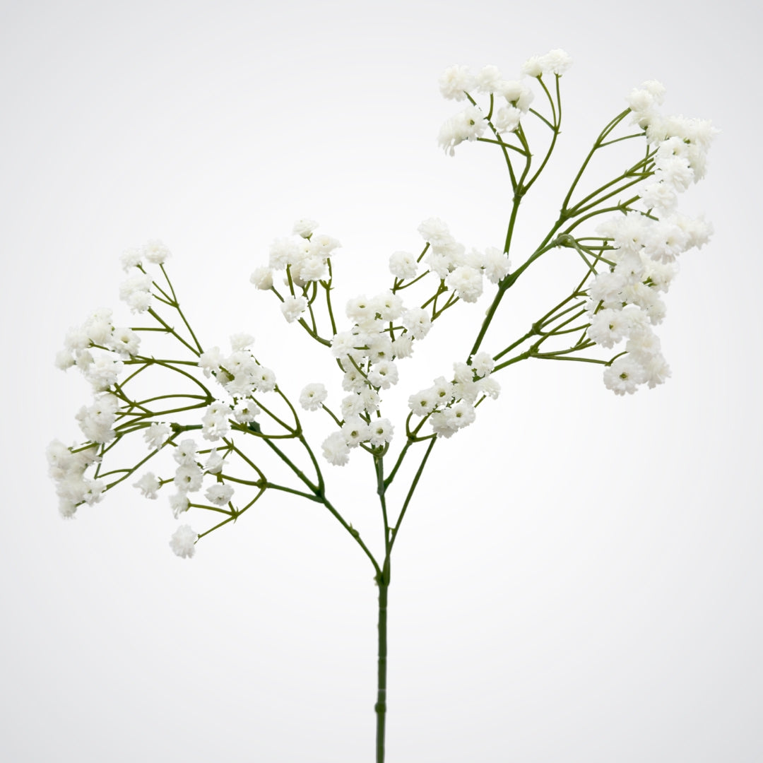 Close up of the blooming branches of a white artificial Baby's Breath flower made by Real Touch, from My Faux Florist Canada