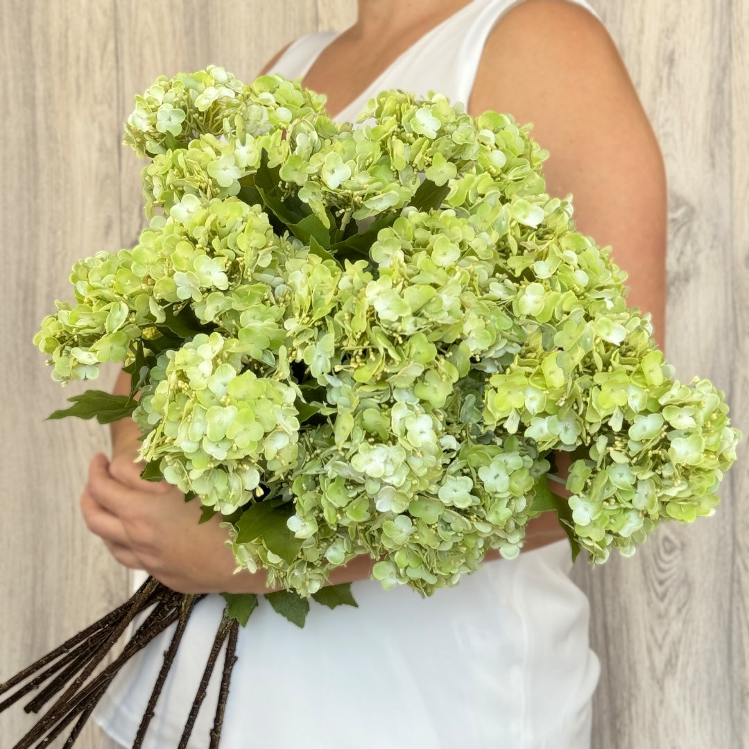 Antique Green Artificial Hydrangea Spray