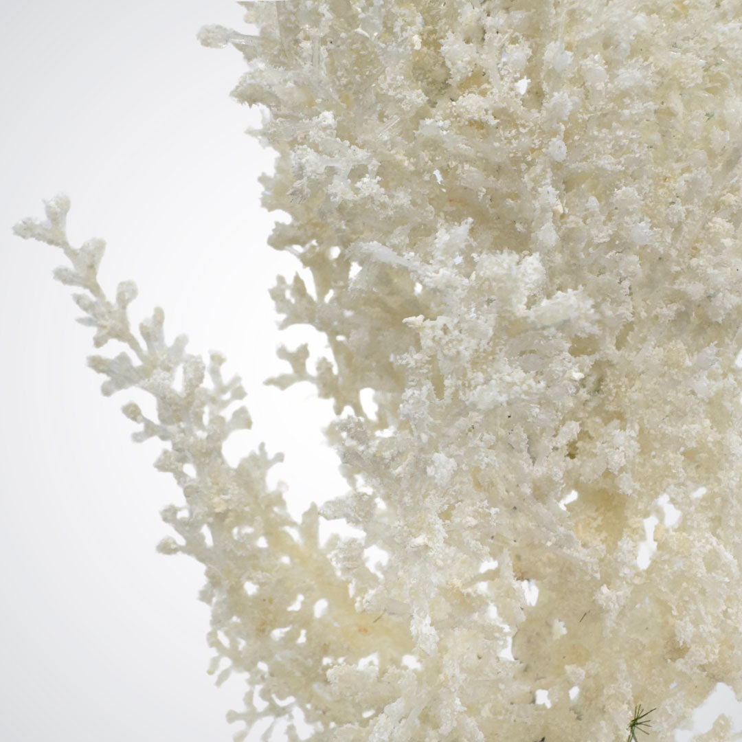 Close up of the white blooms on a white artificial astilbe flower made by Real Touch, from My Faux Florist Canada