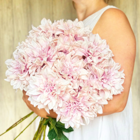 Lilac Silk Dahlia