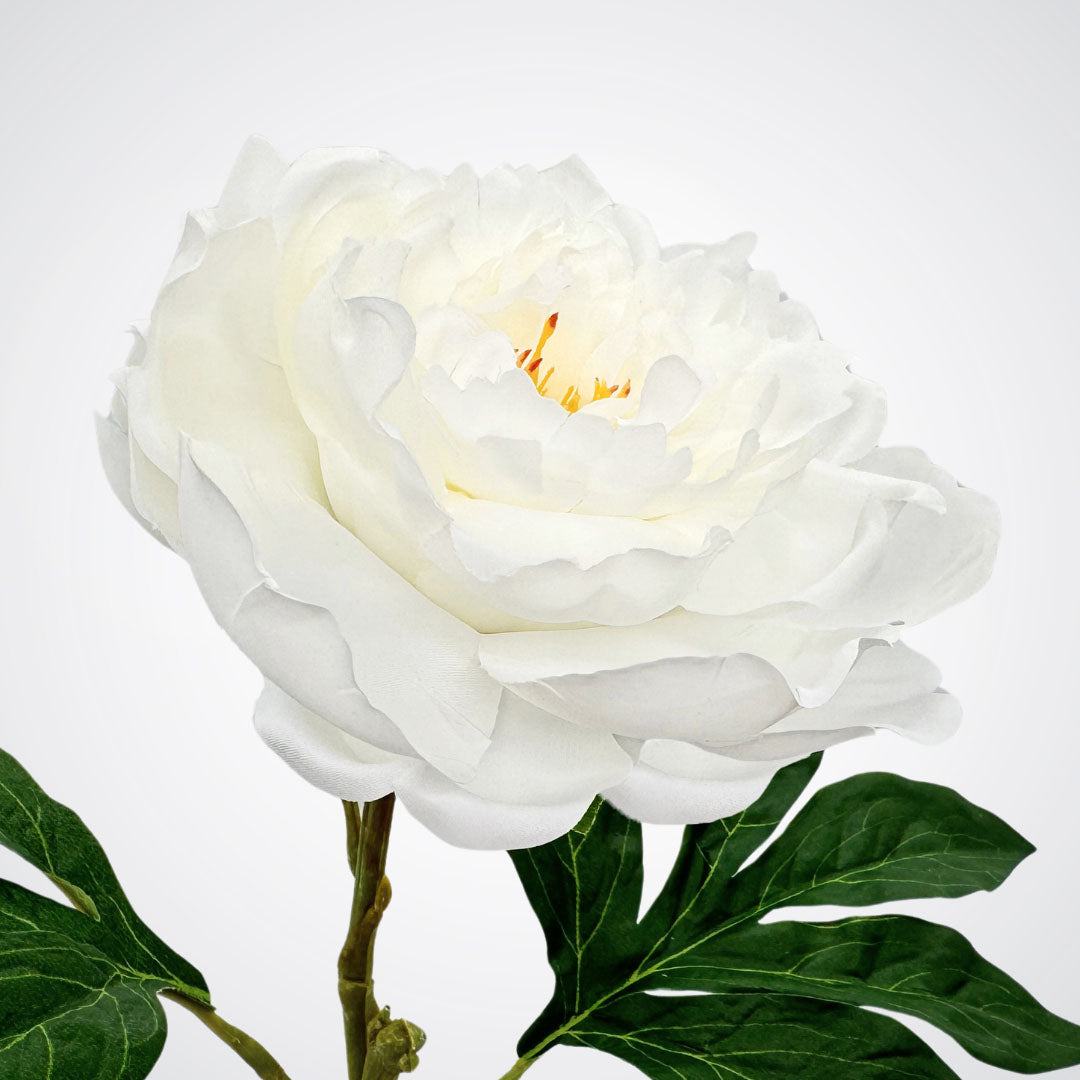 White faux peony close-up with realistic Real Touch petals, by Faux Florist Canada