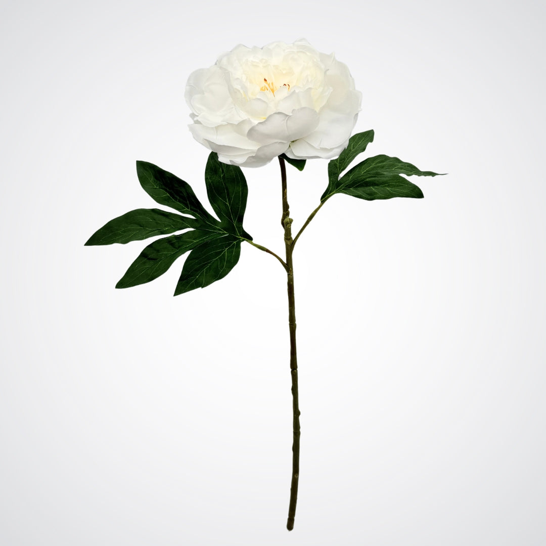 Single artificial peony stem with white bloom and green leaves, by Faux Florist Canada