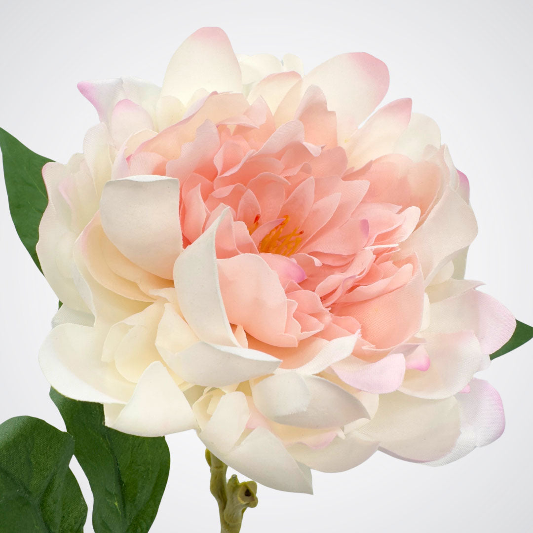 Close up of a blush artificial peony Real Touch flower from My Faux Florist Canada.