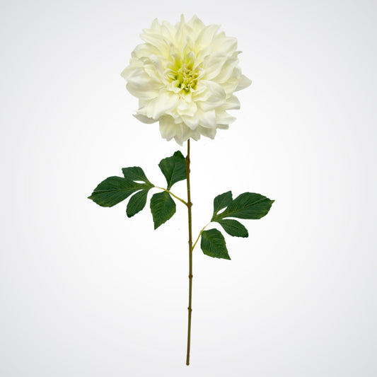 White Silk Dahlia