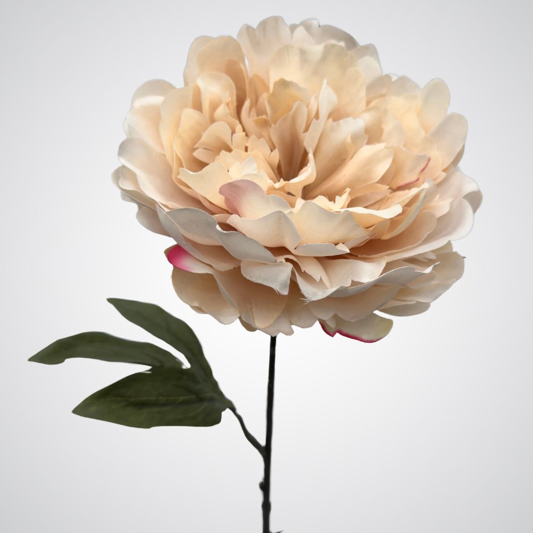 Close up of a cream-colored artificial peony flower with a large bloom, by My Faux Florist artificial flowers Canada.