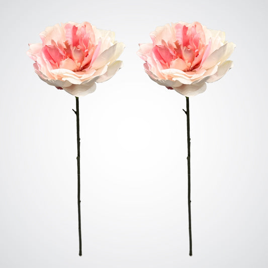 Pink Silk Peony