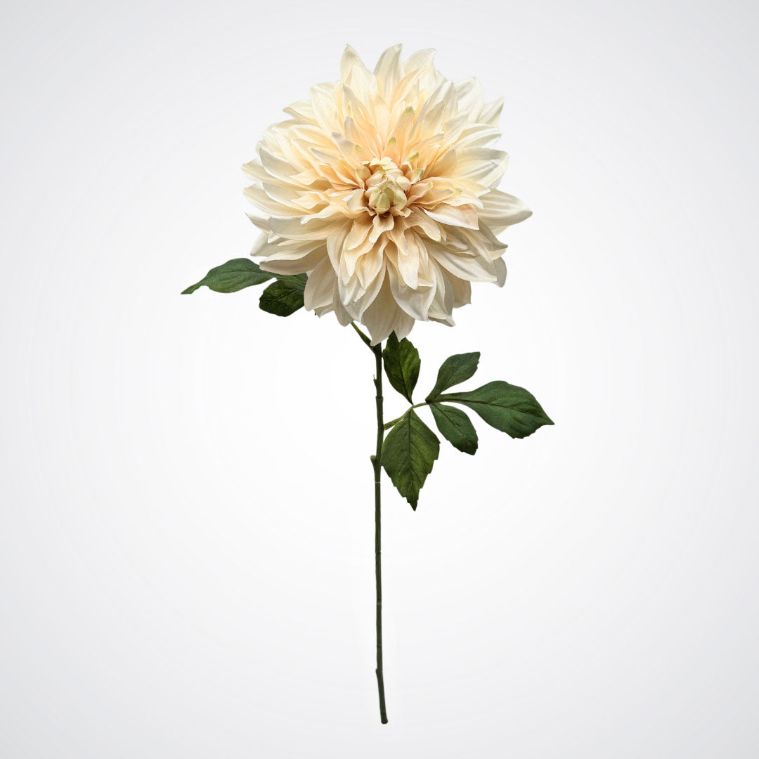 Full view of an artificial dahlias in a creamy white colour, on a white background, from My Faux Florist artificial flowers Canada.