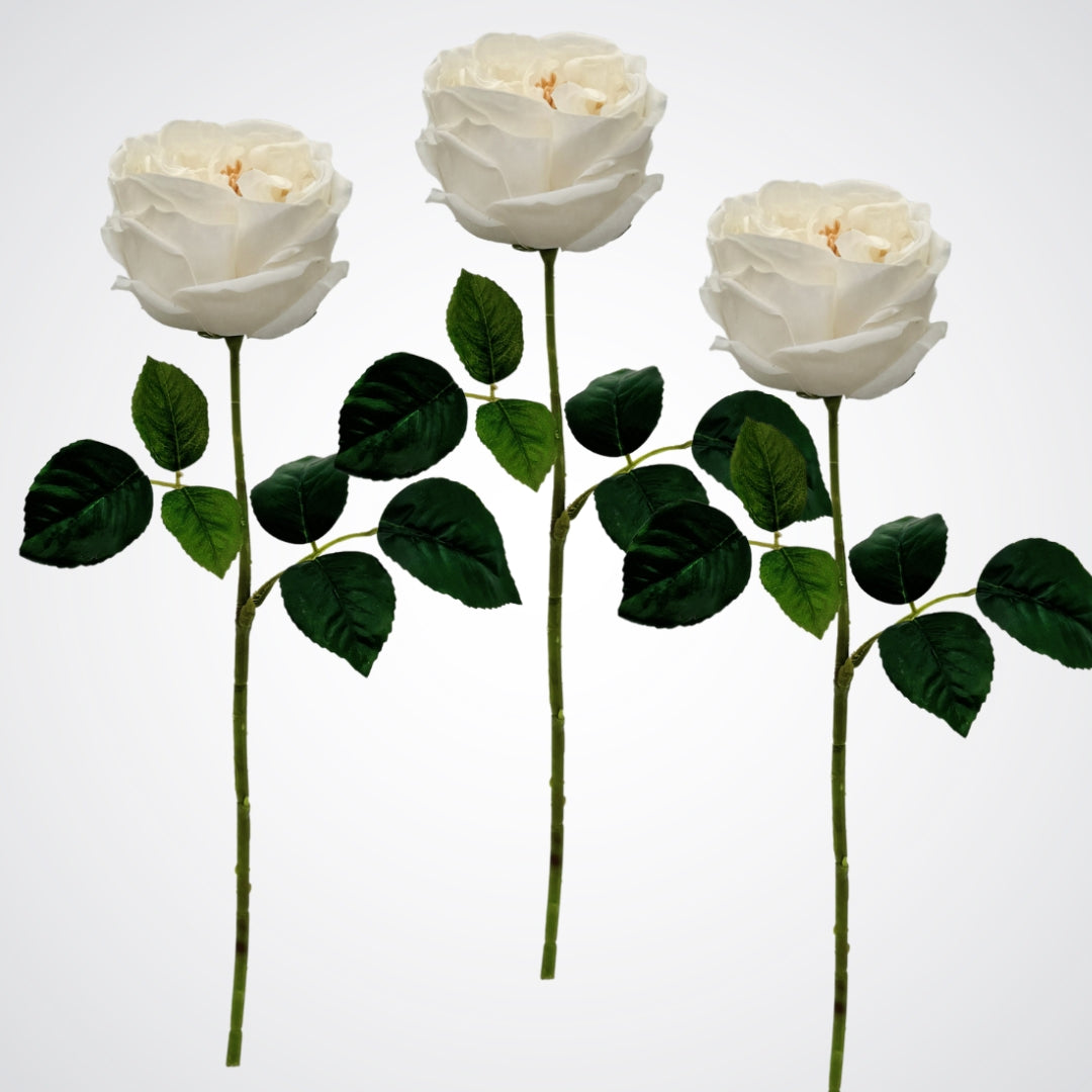 Trio of white  Austin rose style realistic artificial roses with realistic Real Touch petals, from My Faux Florist artificial flowers Canada.