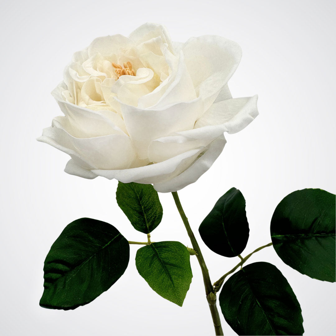 Side view of white  Austin rose style realistic artificial rose with realistic Real Touch petals, from My Faux Florist artificial flowers Canada.