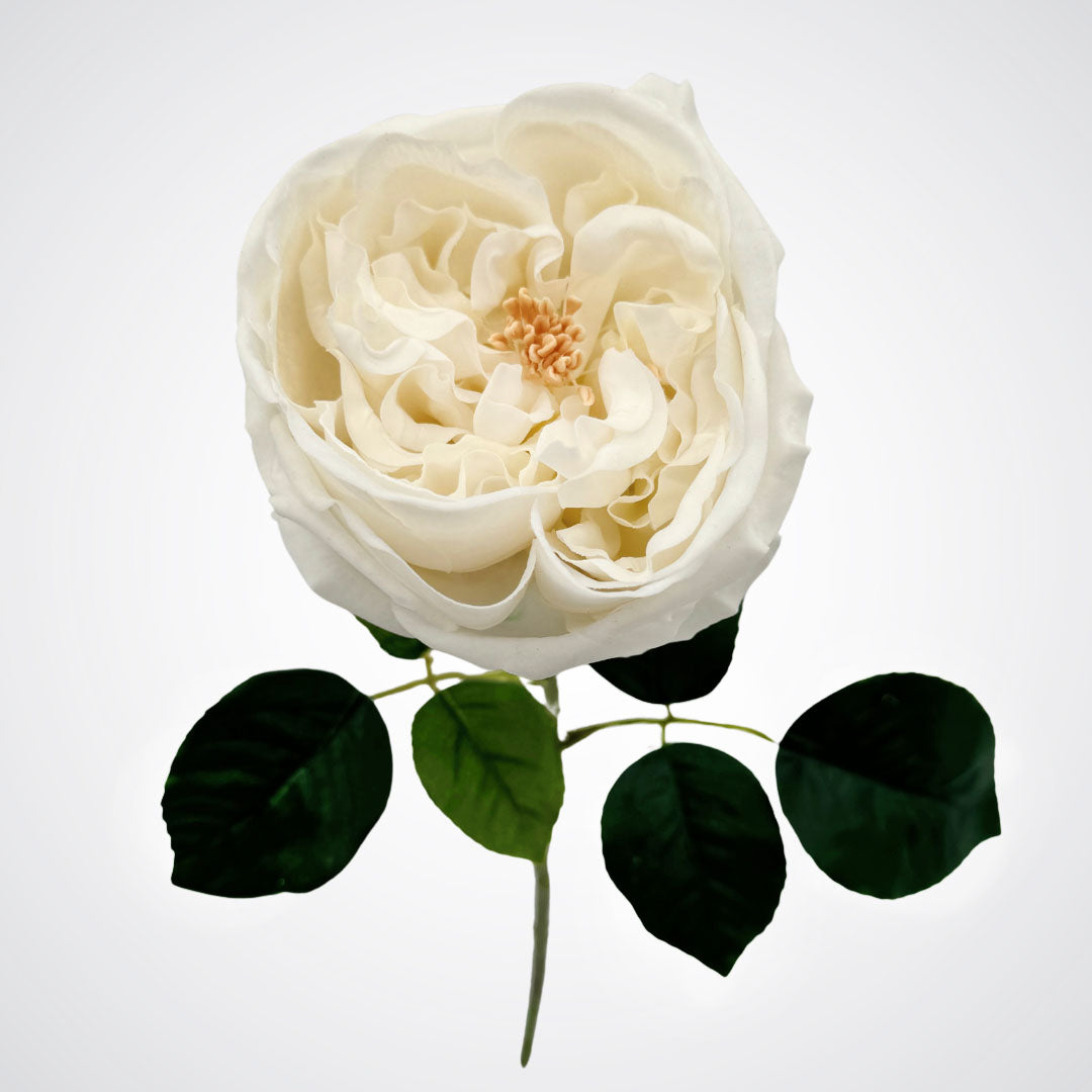 Close up view of bloom head on a white Austin rose style realistic artificial rose with realistic Real Touch petals, from My Faux Florist artificial flowers Canada.