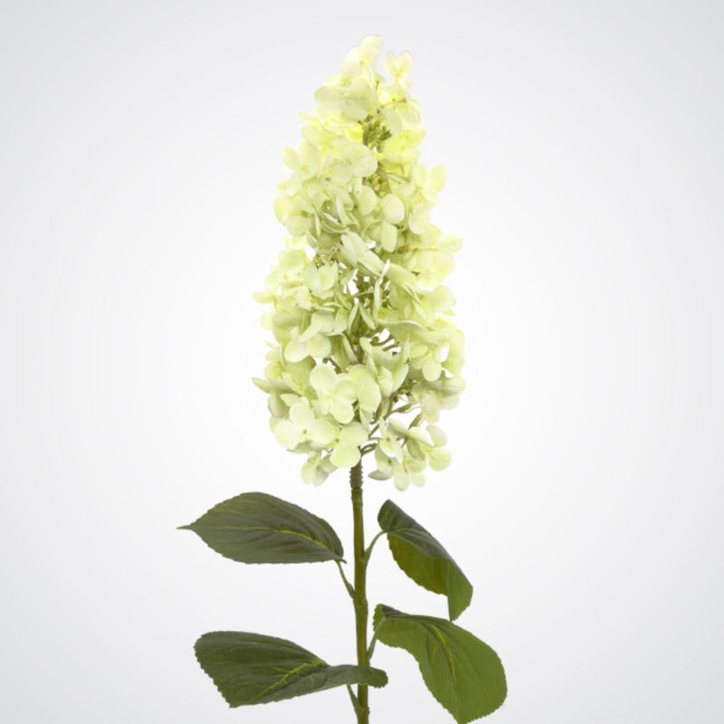 Head of a pale green artificial hydrangea flower from My Faux Florist Canada.