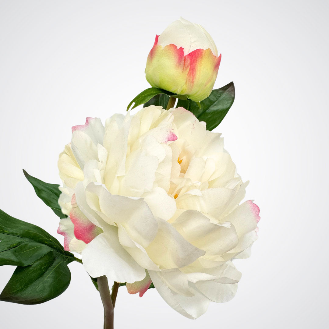 Close-up of full ivory faux peony bloom showing soft pink petal tips