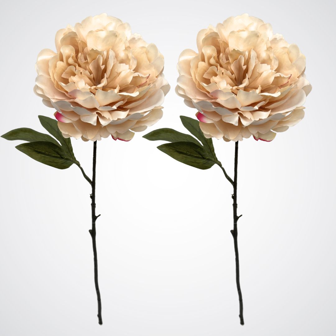 Set of 2 cream-colored artificial peony flowers with a large bloom, by My Faux Florist artificial flowers Canada.