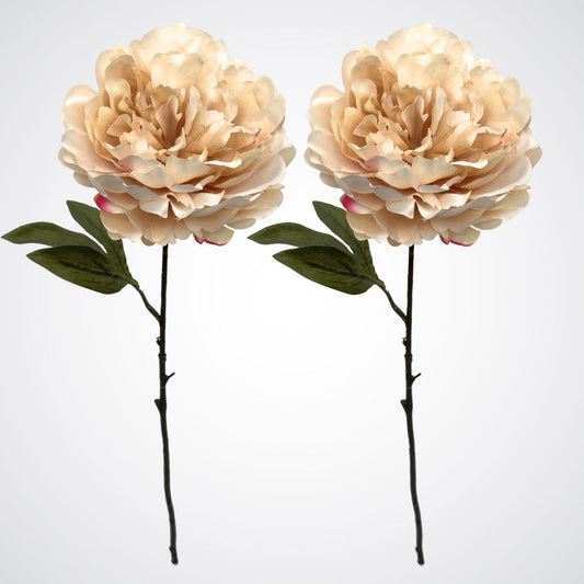 Cream Artificial Peony