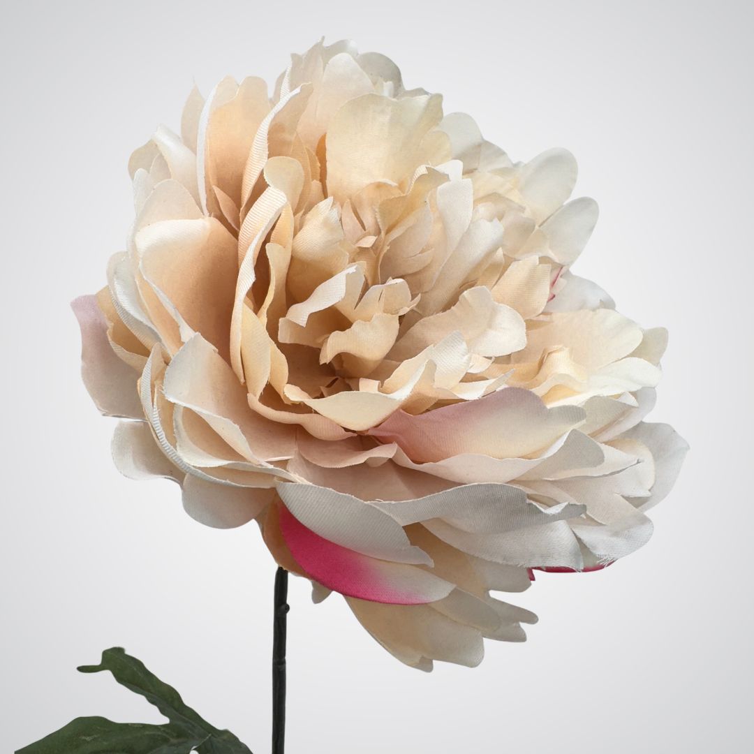 Close up of a cream-colored artificial peony flower with a large bloom, by My Faux Florist artificial flowers Canada.