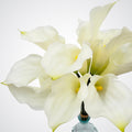 3 Small Calla Lilies