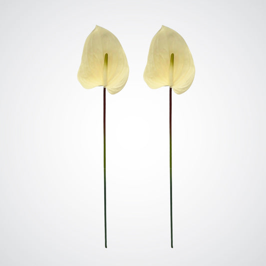 Artificial Peace Lilies