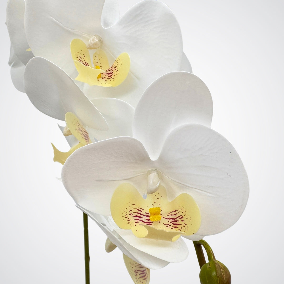 Close-up of a white faux orchid with yellow centers on a light gray background - artificial orchid flowers from My Faux Florist Canada.