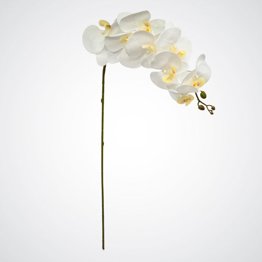 White Artificial Orchid