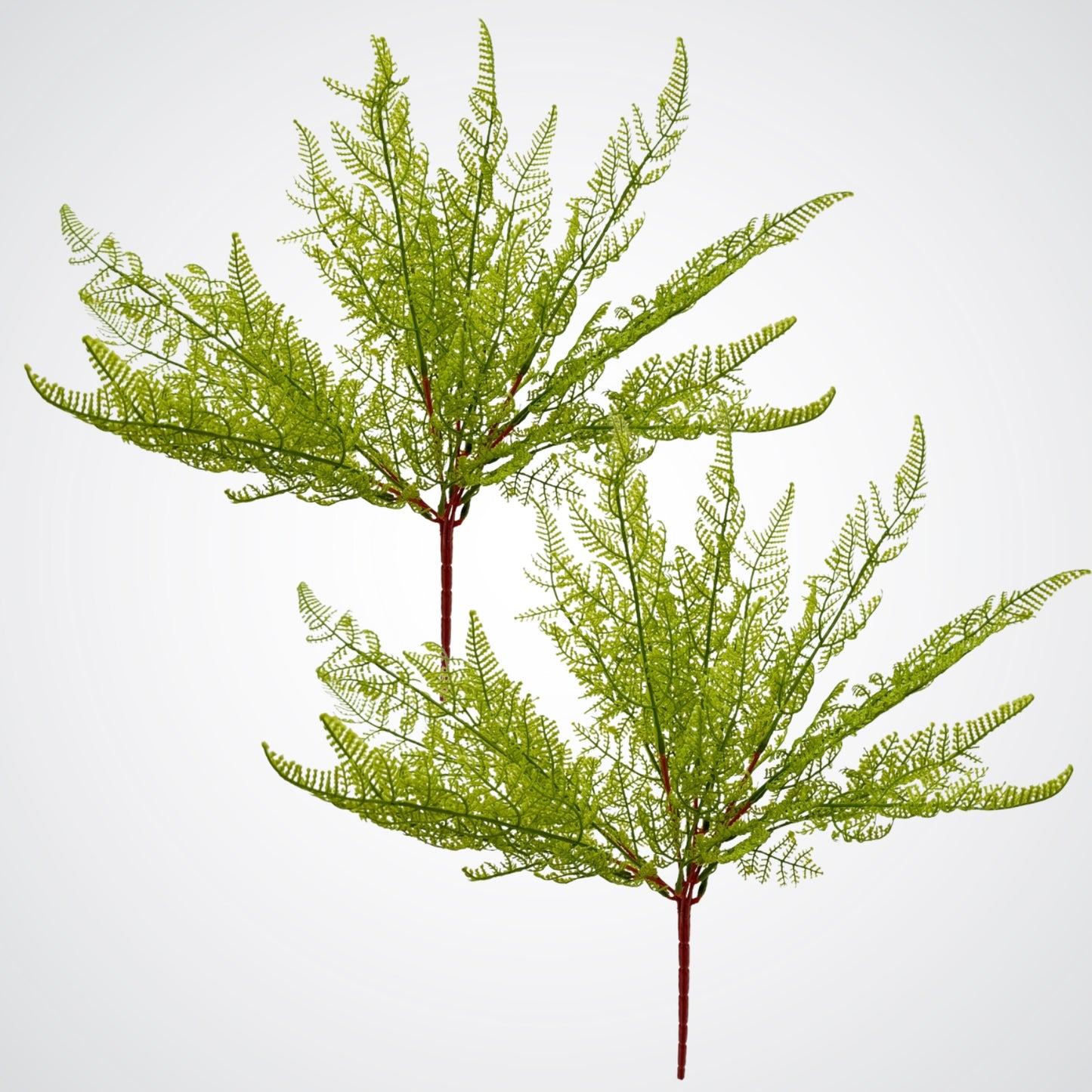 Artificial Fern Leaves