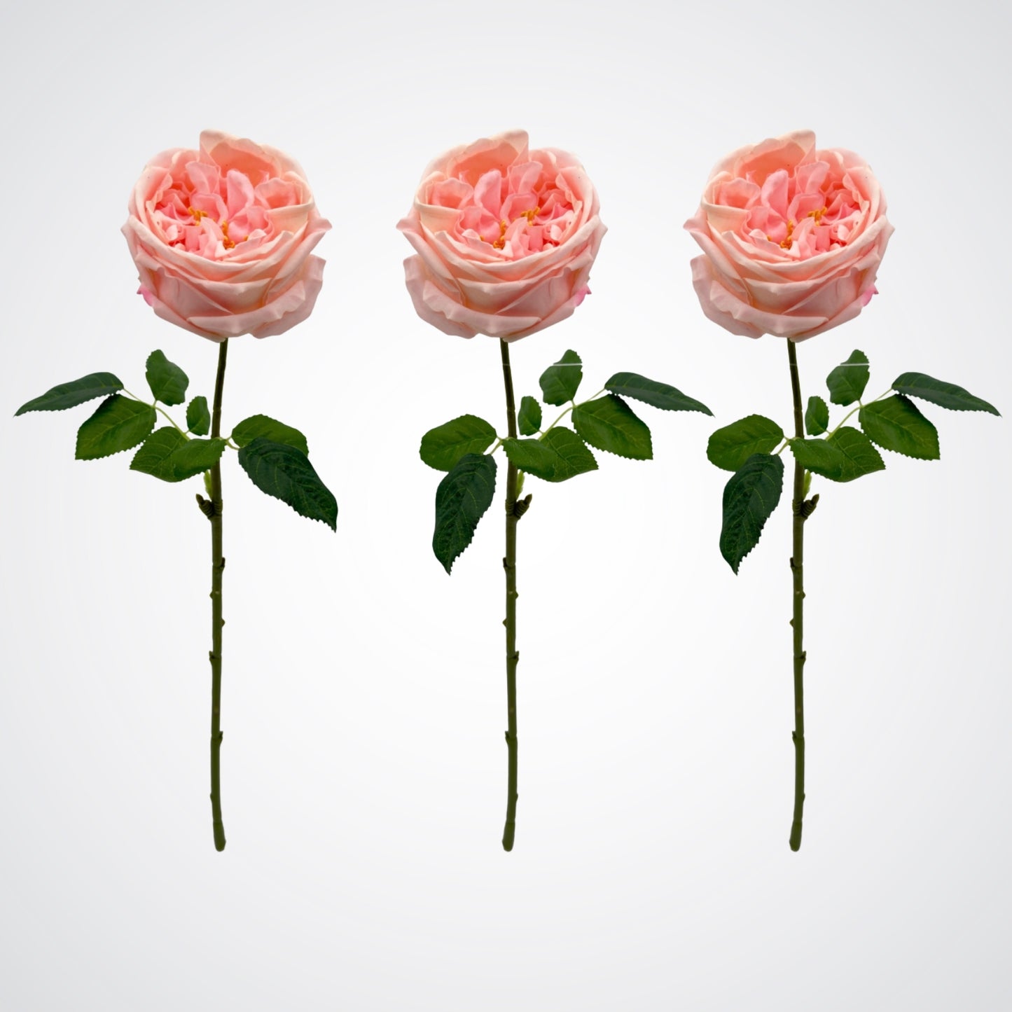 Trio of Austin style artificial roses in a light pink colour with realistic Real Touch petals, from My Faux Florist artificial flowers Canada.