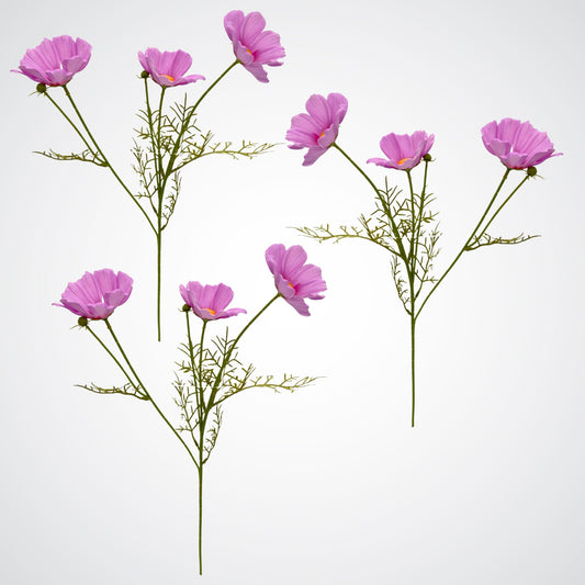 Pink Artificial Cosmos