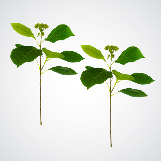 Artificial Hydrangea Leaves