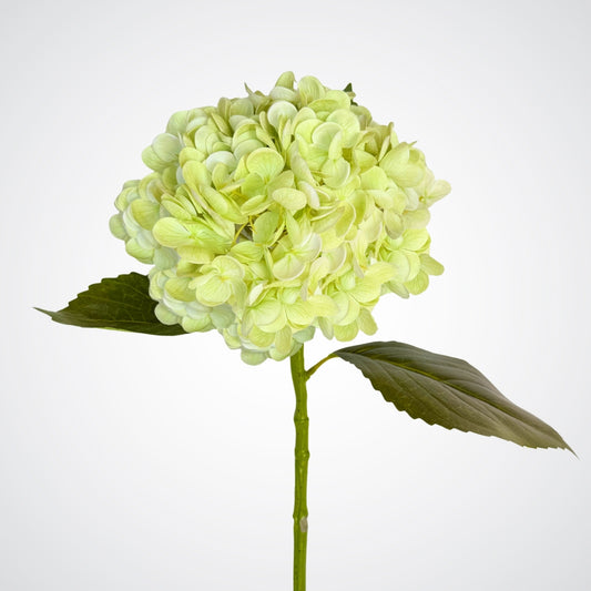 Artificial Hydrangea in pale green white