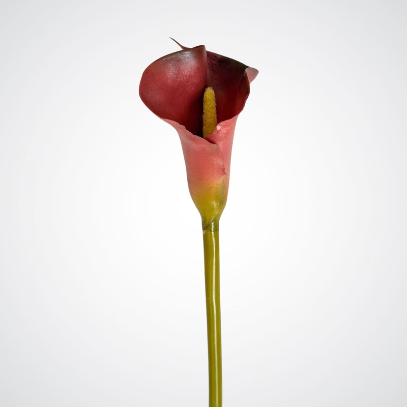 artificial calla lily in auburn brown colour