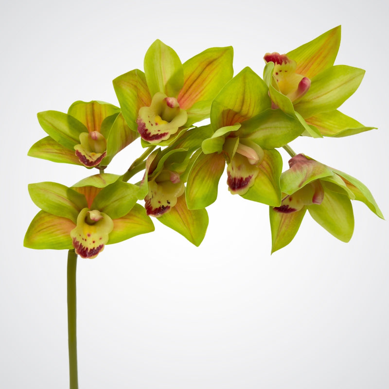 Green fake orchids on a white background from My Faux Florist Canada