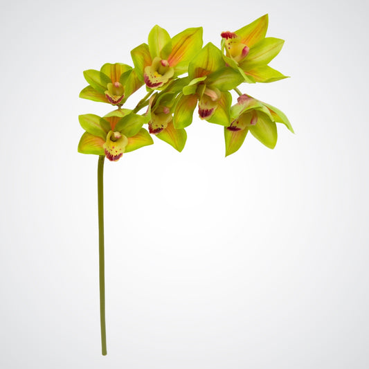 Green Artificial Orchid