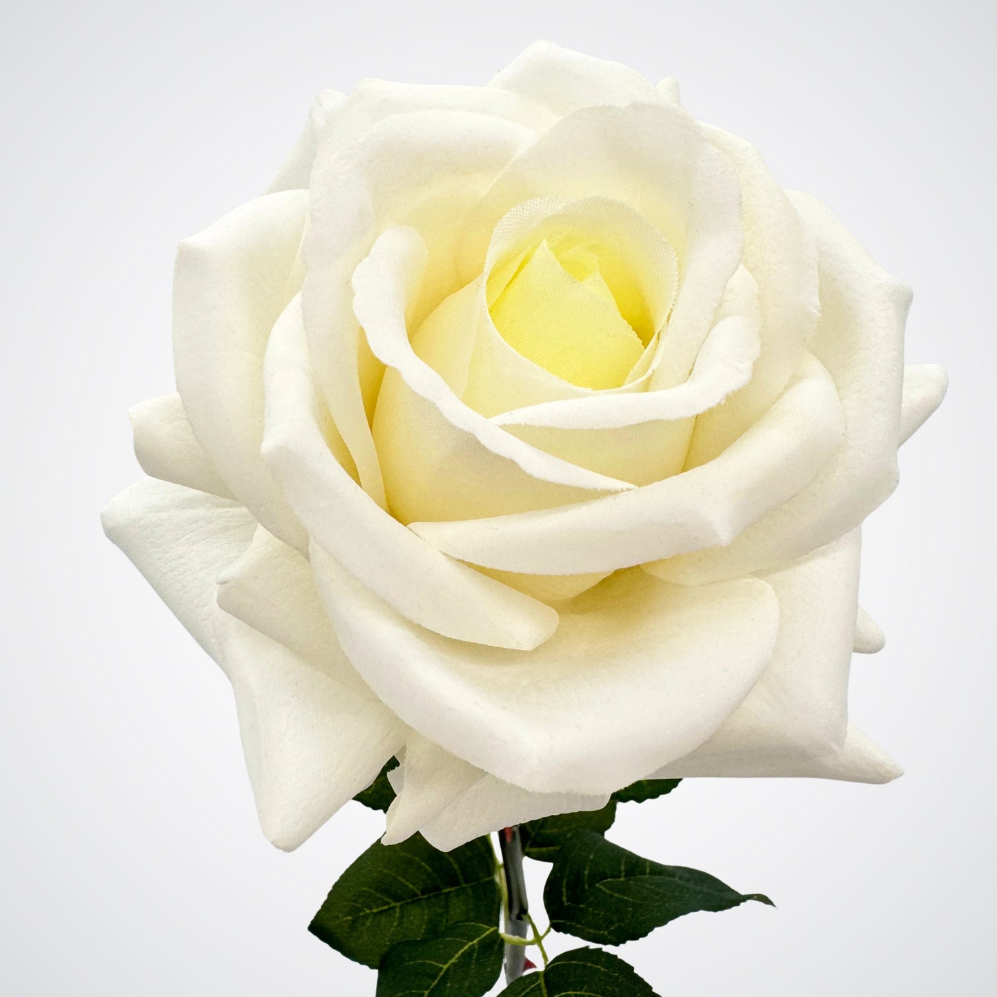 White | Real Touch artificial rose for Valentine's Day by My Faux Florist Canada