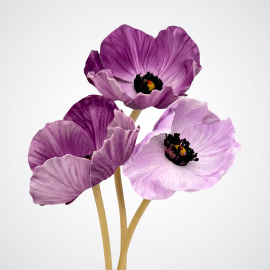 3 Purple Poppies
