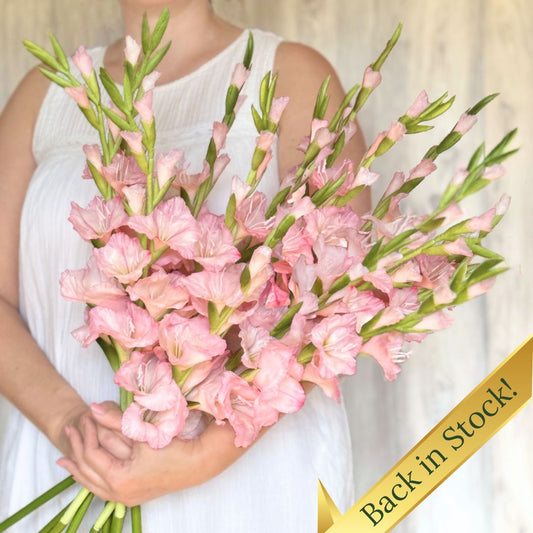 Pink Artificial Gladiolus