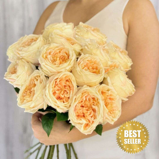 Champagne Austin Roses