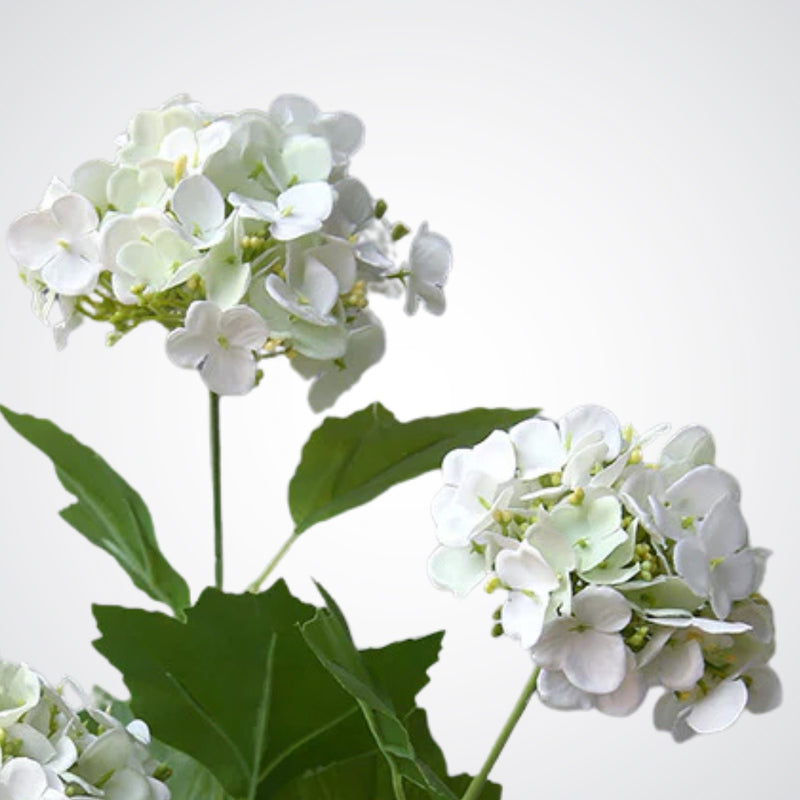 Close up of the bloom heads of white realistic artificial hydrangea stems with realistic Real Touch petals, from My Faux Florist artificial flowers Canada.