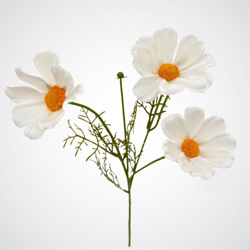 White faux cosmos stem arranged to show bloom detail and flexible green stem