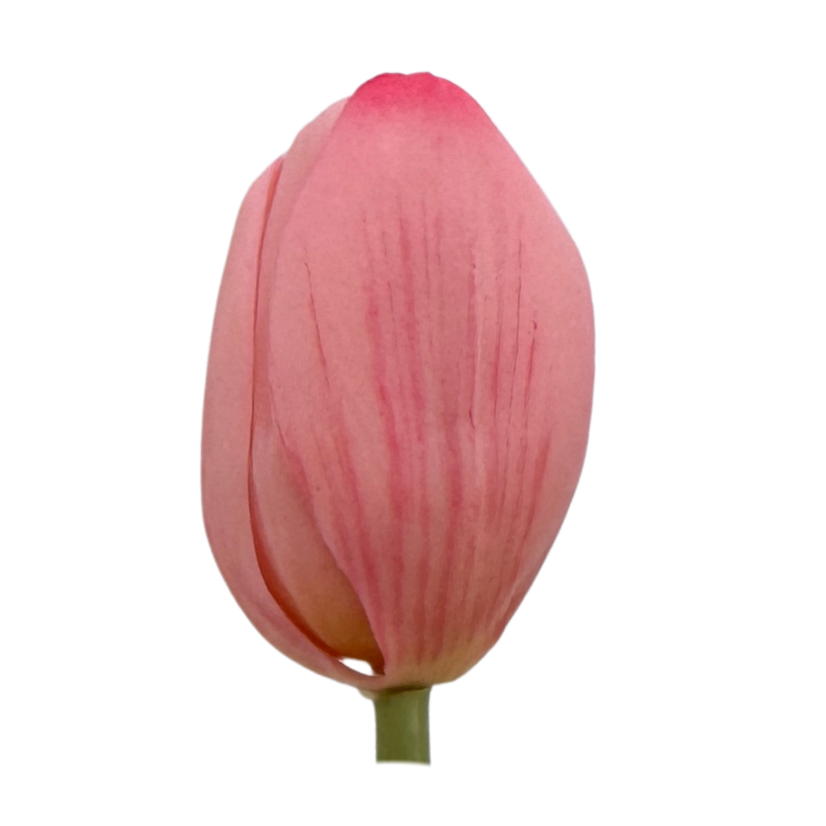 single pink artificial tulip 