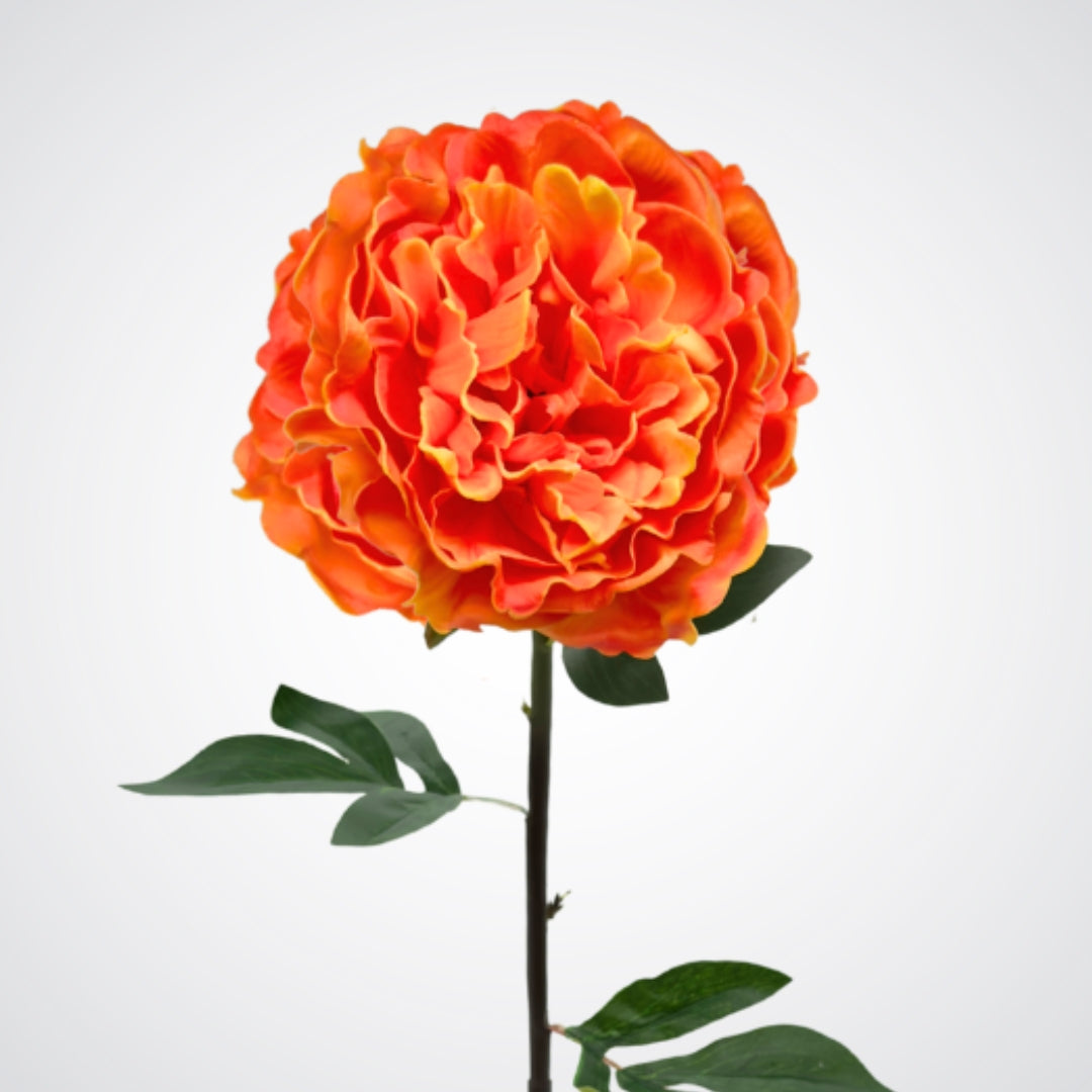Single orange and yellow faux peony on a white background from My Faux Florist Canada