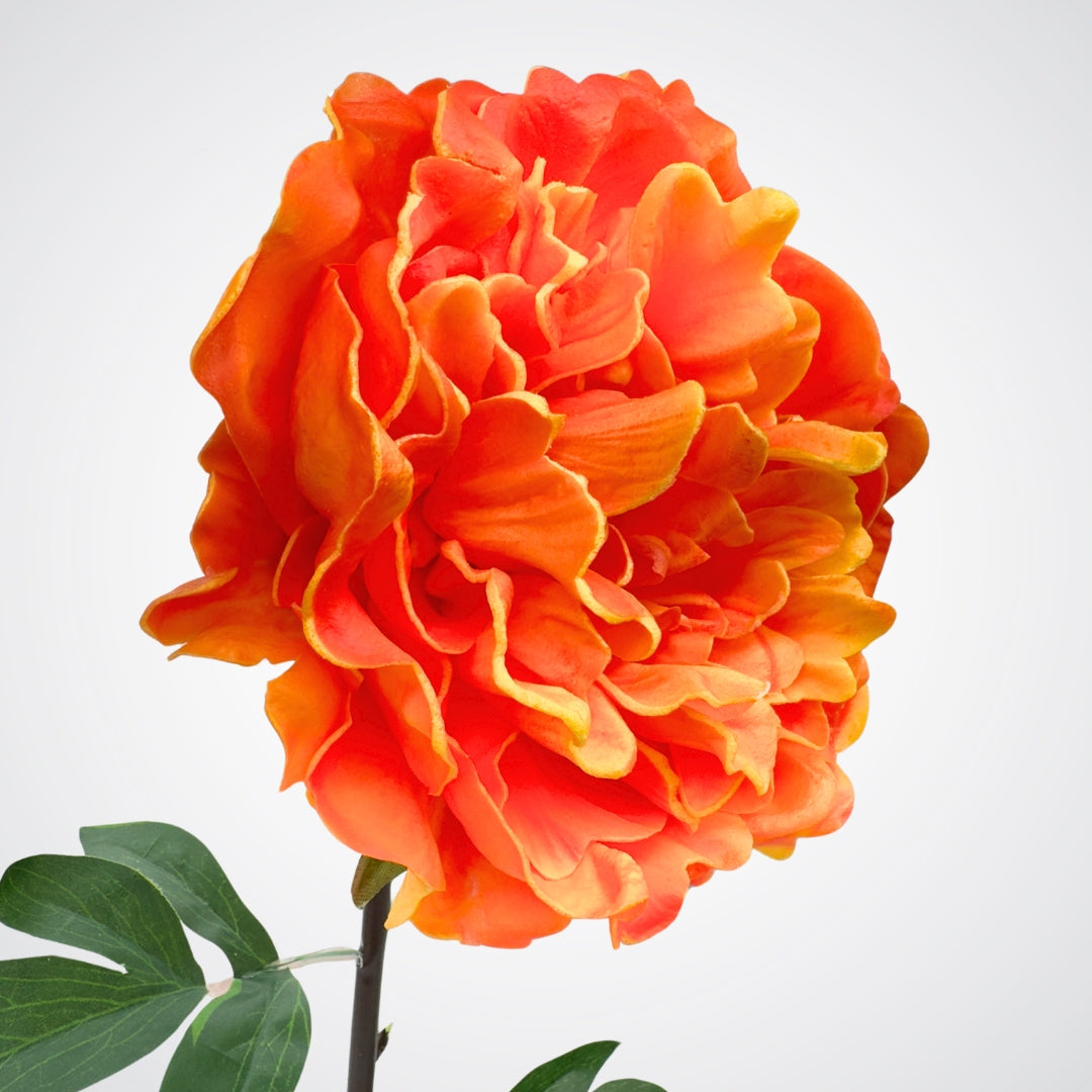 side view of a bright orange artificial peony on a plain background, from My Faux Florist Canada
