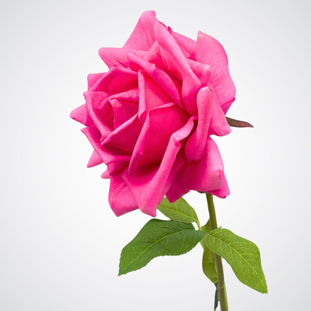 Single artificial flower on white background.  Side view of realistic fuchsia pink artificial rose with realistic Real Touch bloom.