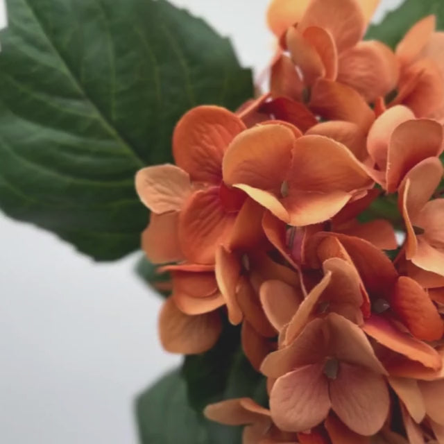 Video  of an artificial wisteria branch in ombre orange and bronze colours, by My Faux Florist artificial flowers Canada.