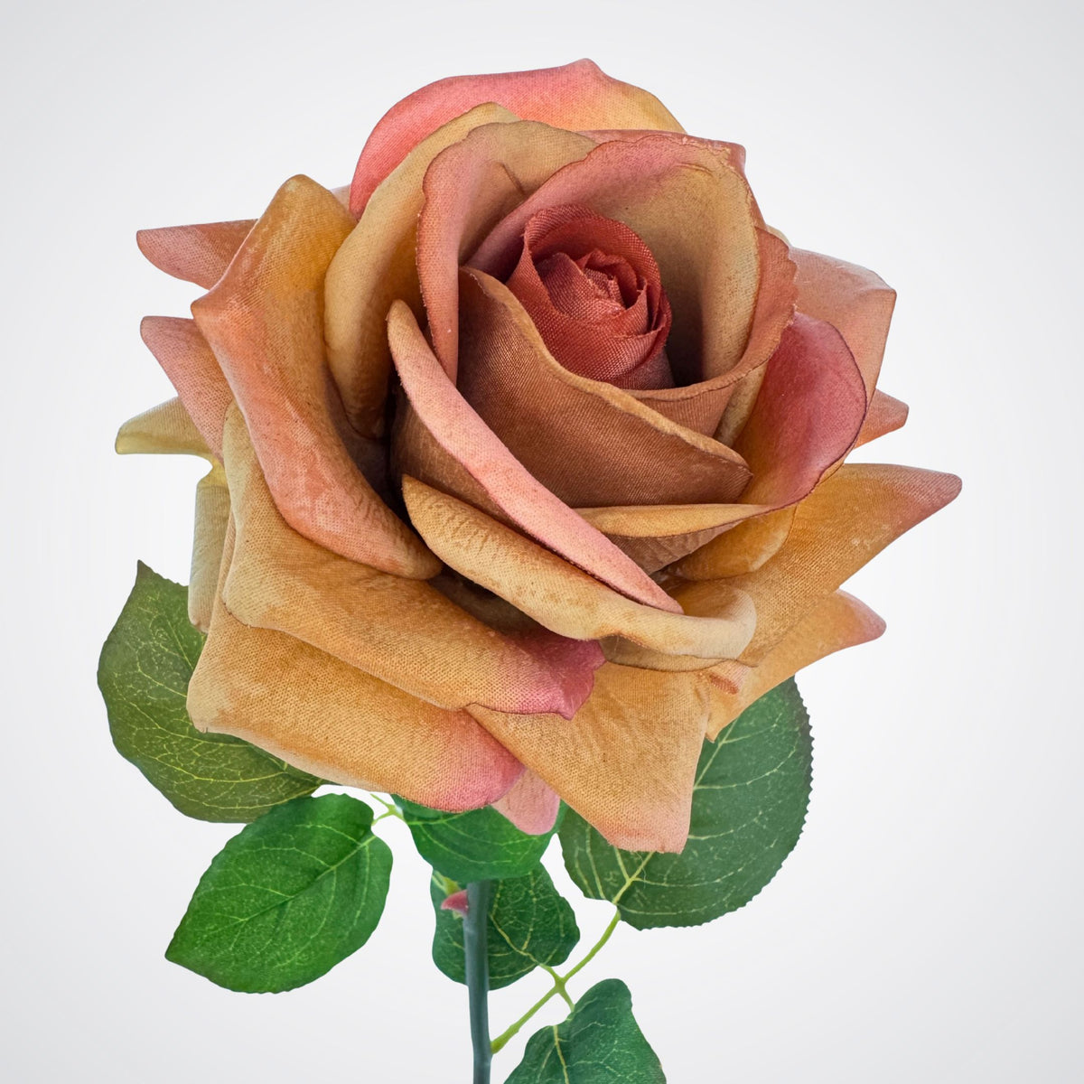 Pumpkin Spice Real Touch Rose