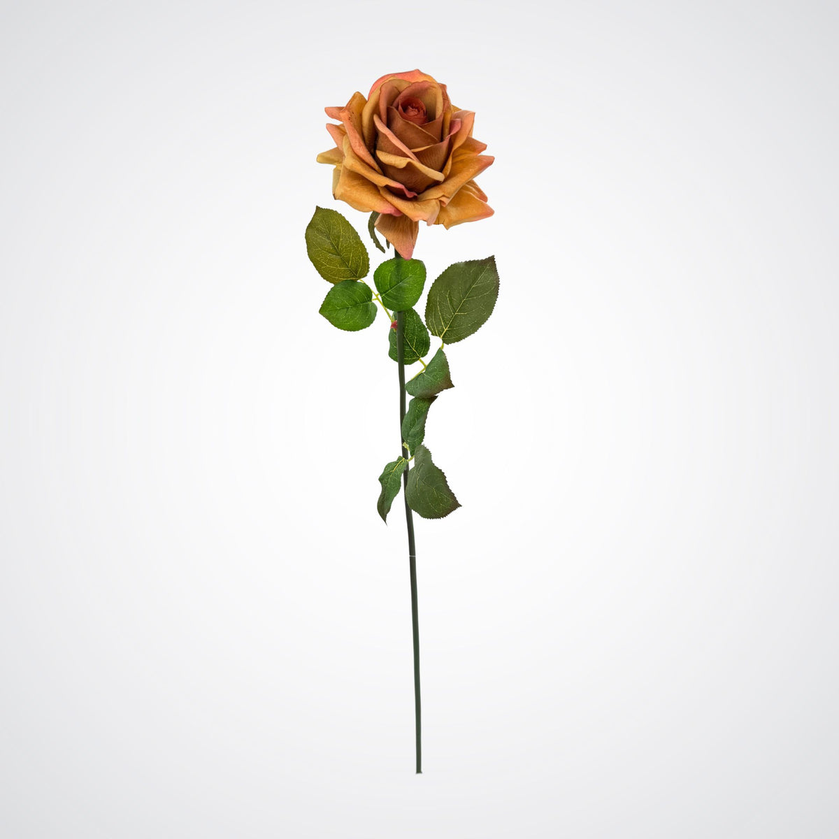 Pumpkin Spice Real Touch Rose