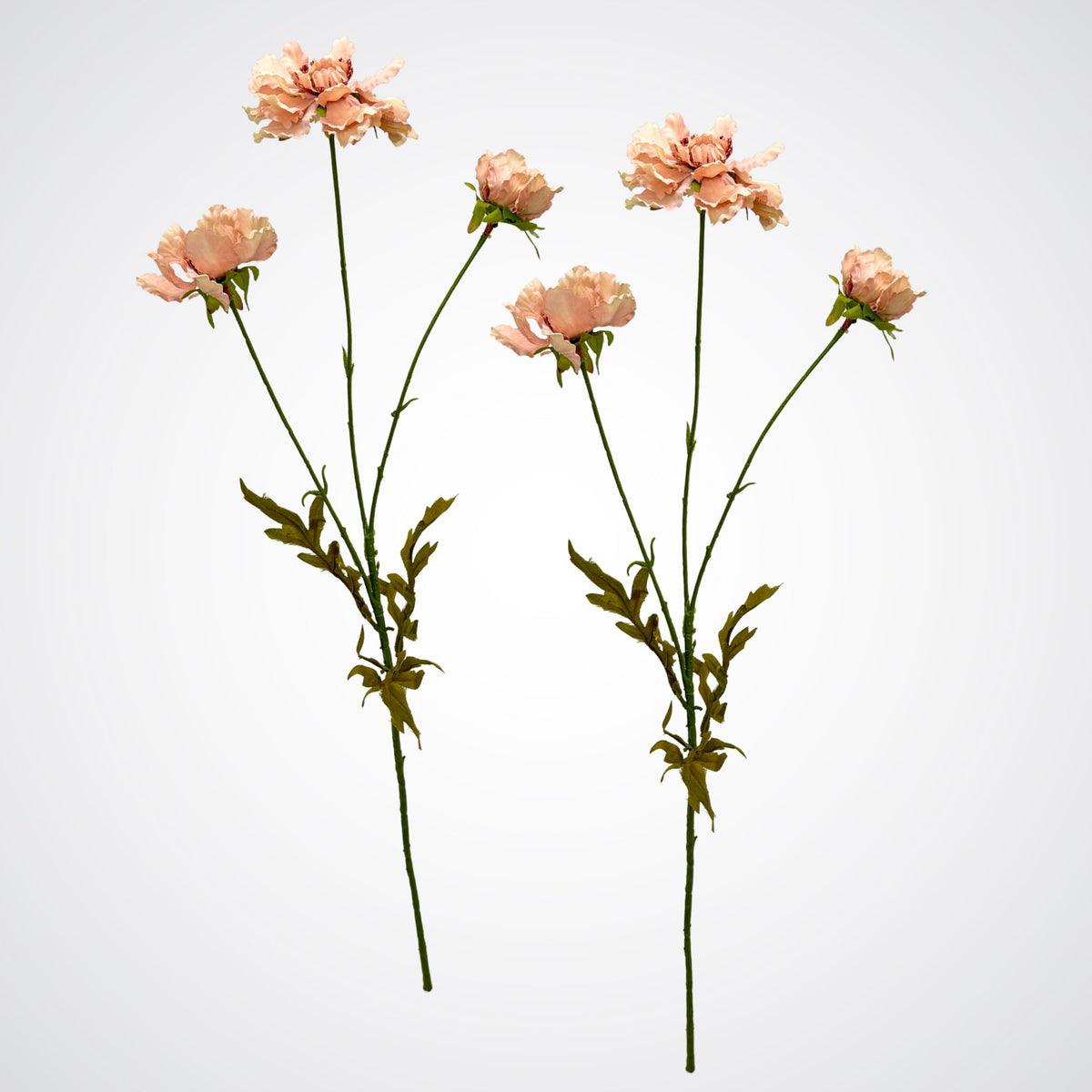 Antique Pink Silk Mums