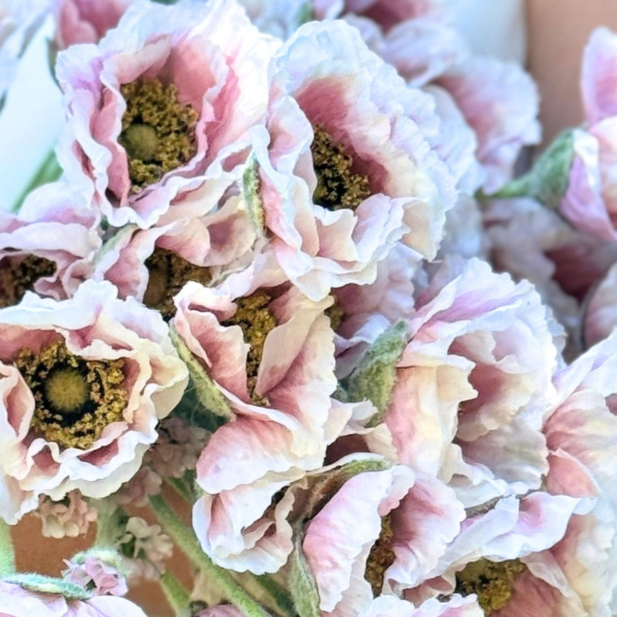 A close-up of artificial pink and white silk poppy flowers with yellow-green centers, arranged together with green stems. For My Faux Florist Canada.