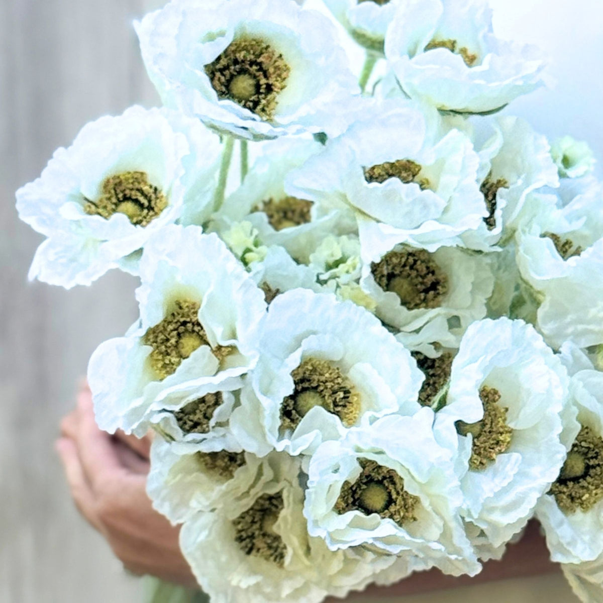 A close-up of a bouquet of white realistic silk poppies with pale green centers, held in a person's hand against a soft light gray background. For My Faux Florist Canada.