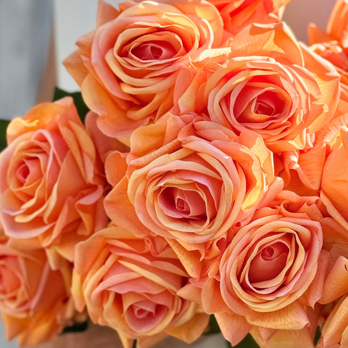 Light Orange Real Touch Rose