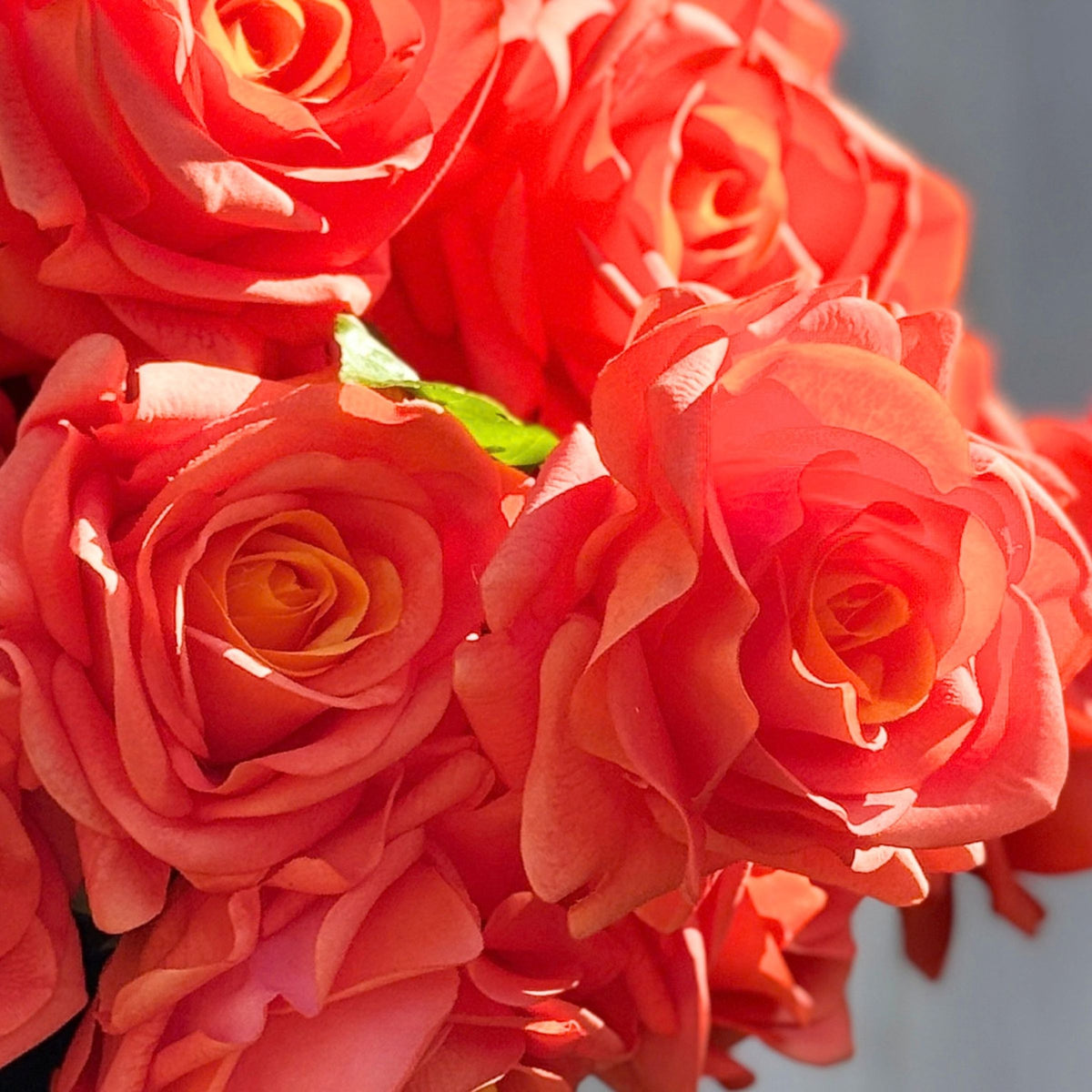 Sunset Orange Real Touch Rose